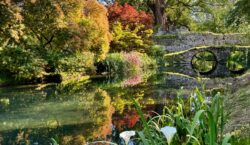 Oasi urbane, memorie storiche e visioni d’arte nei giardini “segreti”